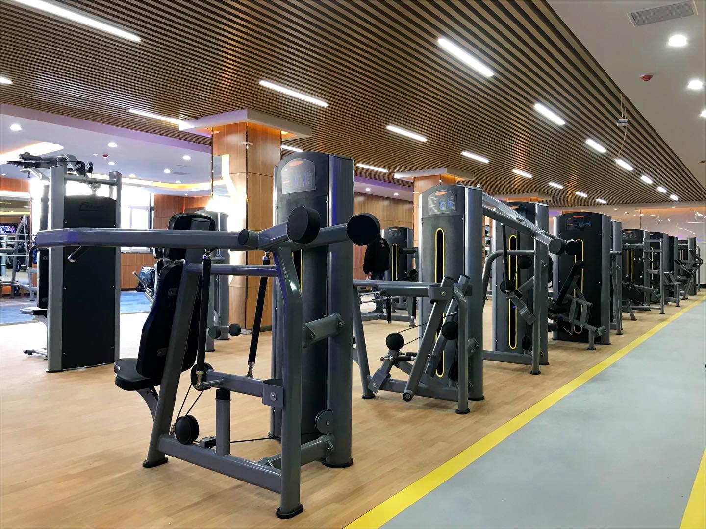 Pull Up Bar Leg Raise Chest Shoulder Workout Power Tower Dip Station Gym Equipment
