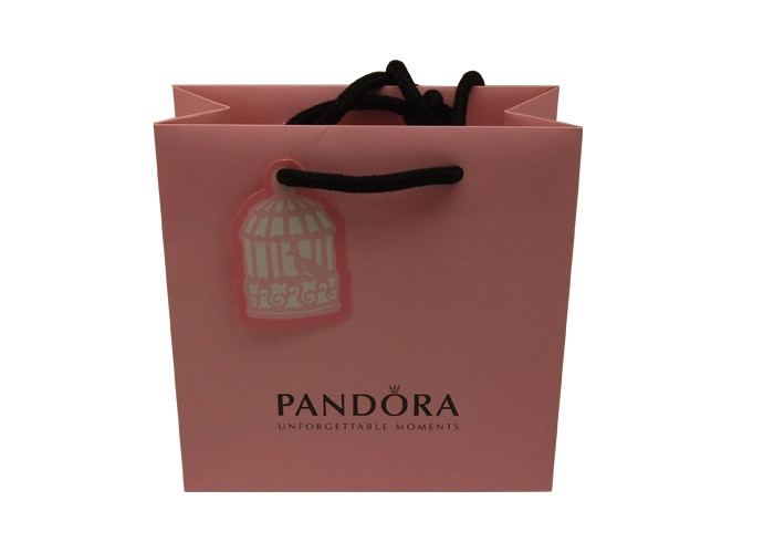 Reusable Personalised Paper Bags / Colored Paper Gift Bags With Handles