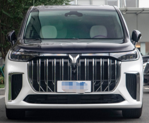 VOYAH Dreamer 2022 Private customized low-carbon version 5 Door 7seats MPV