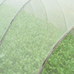 Quality Fish Farming Agricultural Nets, insect netting, anti insect net for sale