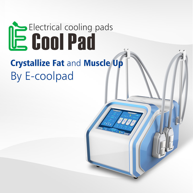 4 Handles Cryolipolysis 30Hz EMS Machine 10.4 inch color touch screen