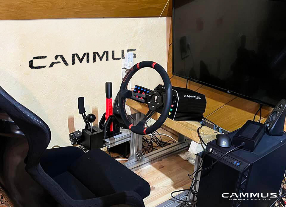 Racing Car Gaming Driving Simulator with Wheel And Pedals Sim Stand