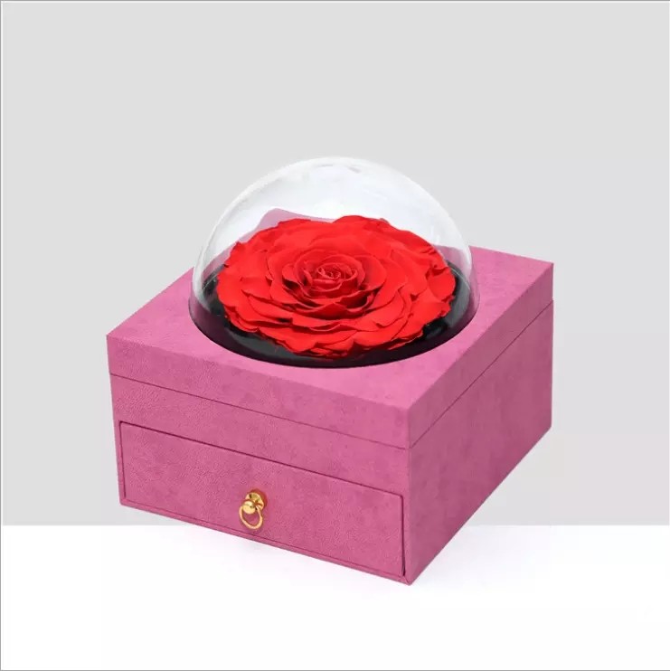 Real Preserved Rose Flower Single Large Rose in Drawer Gift Box for Decoration