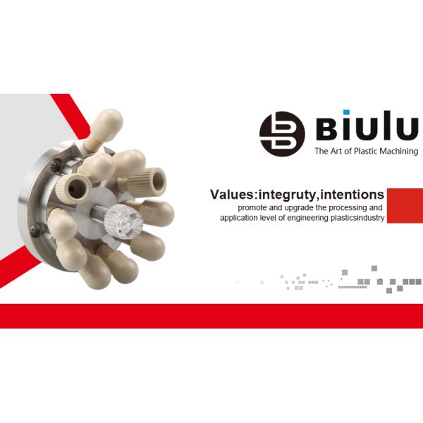 Custom PEEK Parts CNC PEEK Plastic Machining High Performance Material