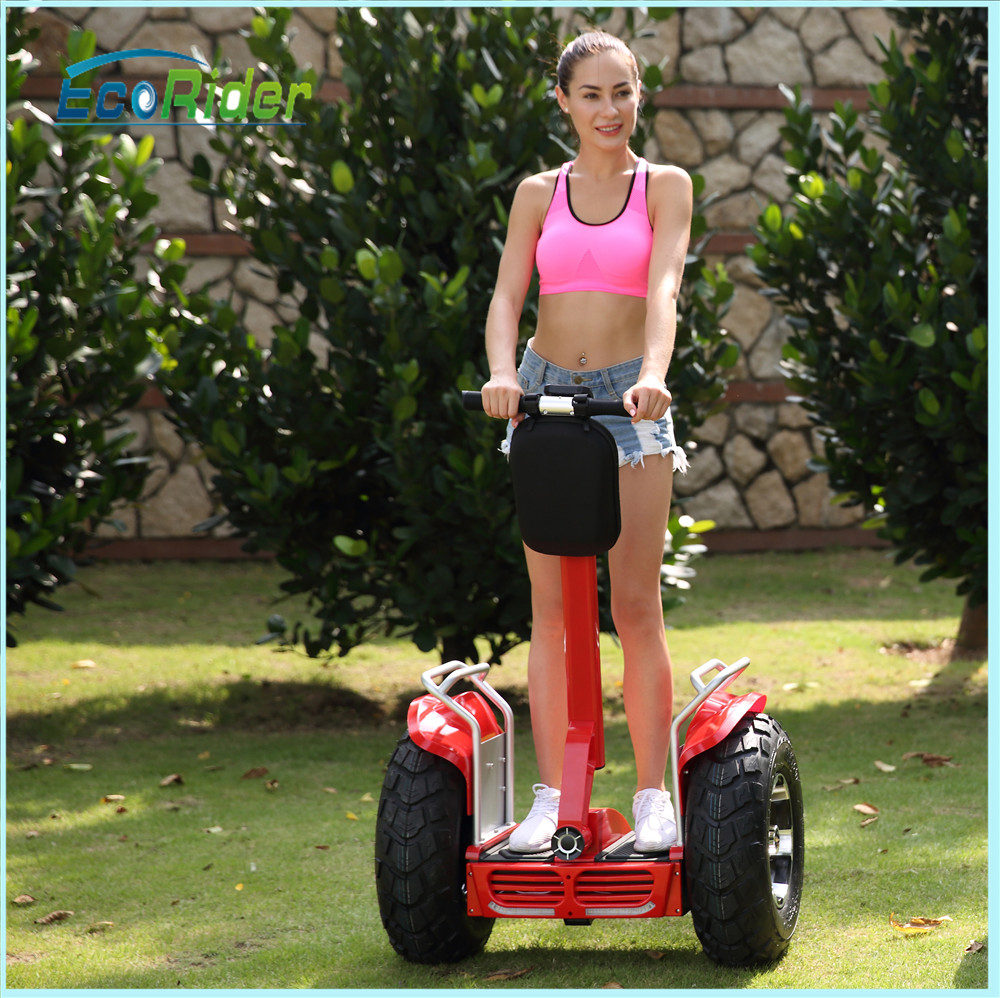21 Inch 1266wh Off Road Tires 2 Wheel Electric Segway Scooter 82*48*58 Cm
