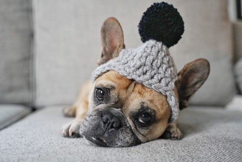 Y-Z Dog Clothing Accessories Handmade Dog Beanie with Pom Pom Crochet Knit Dog Hat Gift