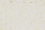 Recycled Bestsellers 100 Polyester PV Velvet Browning Simple Casual Chiffon