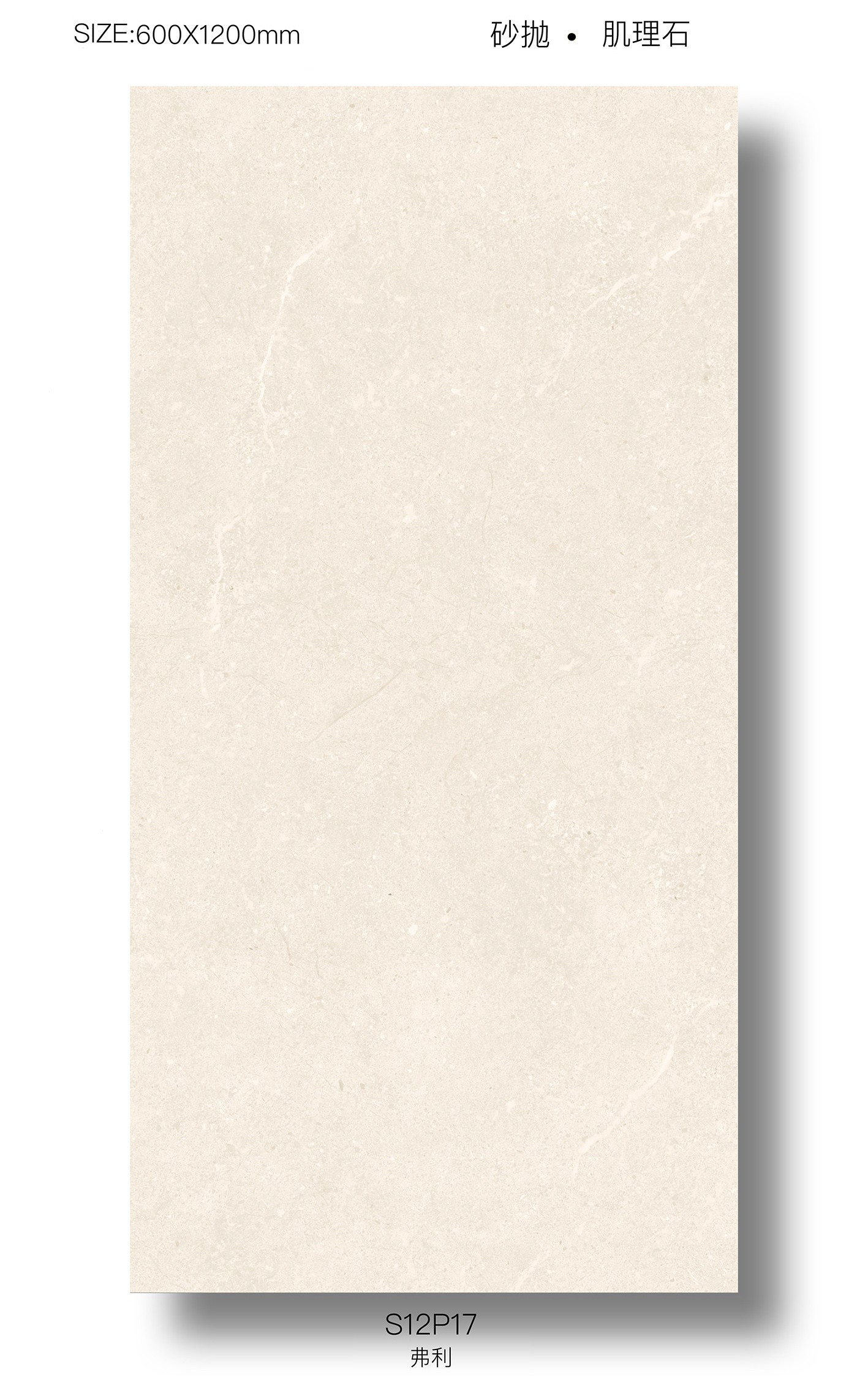 Beige 600x1200mm Soft Glazed Wall Porcelain Tile For Bedroom W.A 0.5%