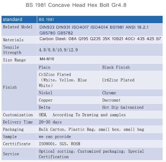 BS 1981 Concave Head Hex Bolt Gr4.8 M6x12 Size Stainless Steel Material