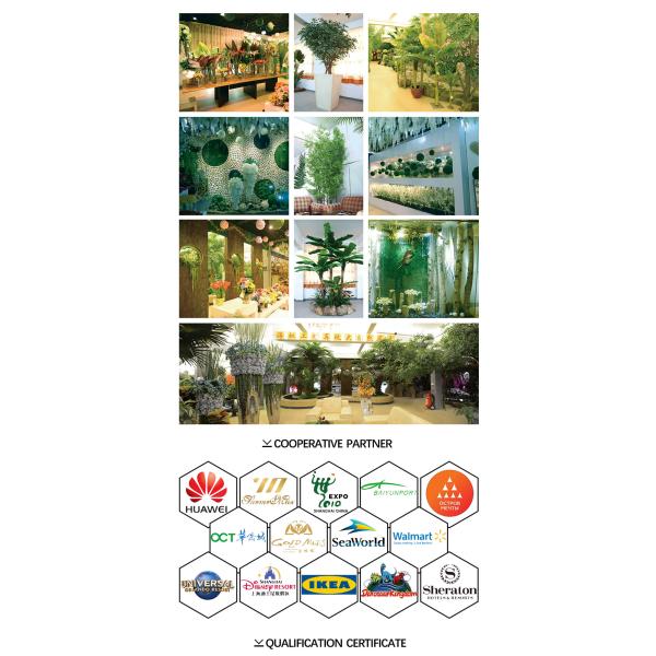 High Simulation 56cm Artificial Butterfly Orchid Flower Plant 6 Colors