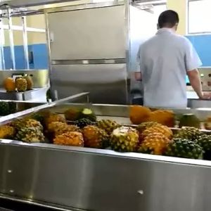 High Performance Complete Pineapple Processing Line Customized Pineapple