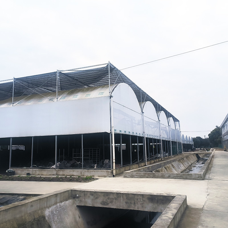 Agriculture Plastic UV Film Poly Tunnel Multi-span Tomato Smart Greenhouse