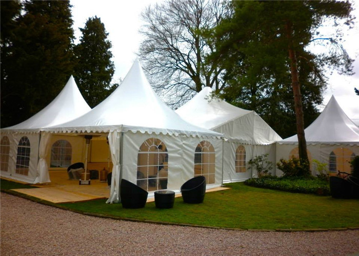 Luxury Fire Resistant 50 Guests Canopy Party Tent Shop Space Marketing Point