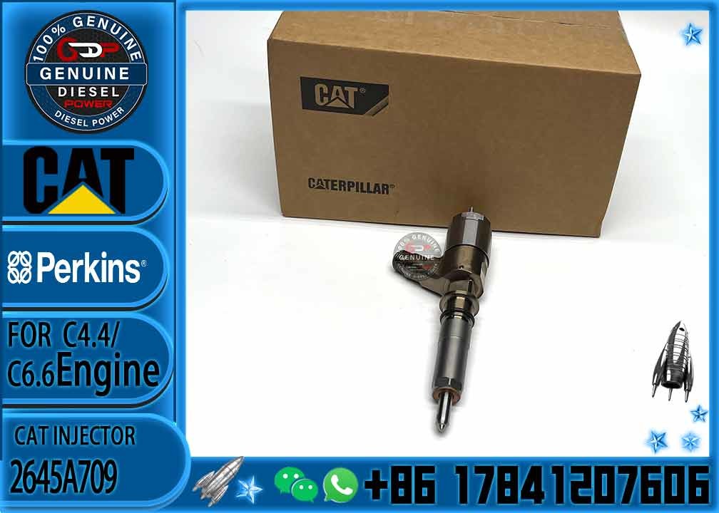 fuel injector CAT 321-3600 320-0677 320-0690 320-0680 2645A709 295-9130 382-0480 282-0490 292-3780