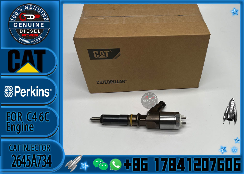 Diesel Engine Fuel Injector Excavator Accessories Diesel Motor Parts 2645A734 for Caterpillar CAT 323D