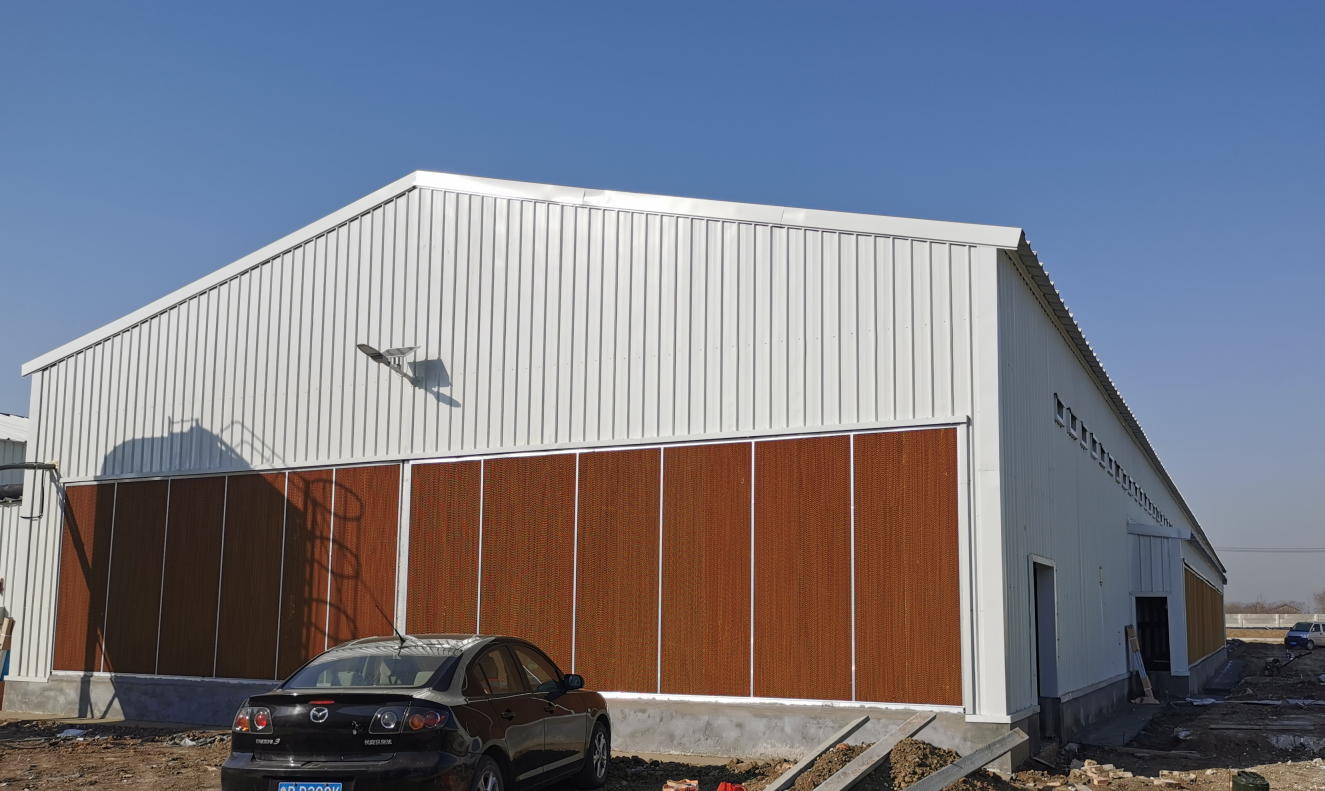 Q235B Galvanized Steel Structure Poultry House Bolts Connection Steel Chicken Houses