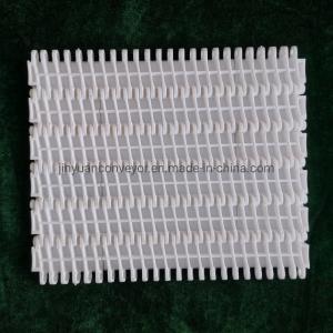 Quality                  Easy-to-Clean Plastic Conveyor Belts with 27.2mm Pitch              for sale