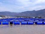 Plastic Material Buoy Floating Fish Cage For Lake Or Pond Customization