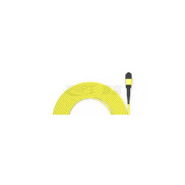 LSZH Outer Jacket MPO LC Breakout Cable OS2 G657A1/ A2 Fiber Type A Polarity 3M MPO 12 Cores Fiber Connector Patch Cord