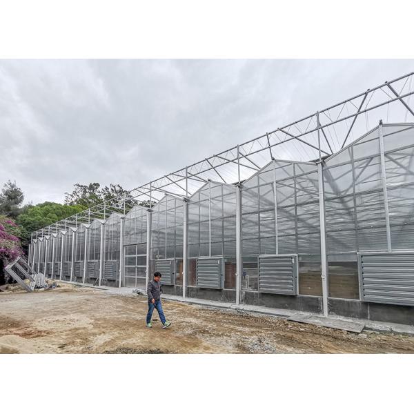 Polycarbonate Multi Span Greenhouse For Hot Climate 12 Meter Width