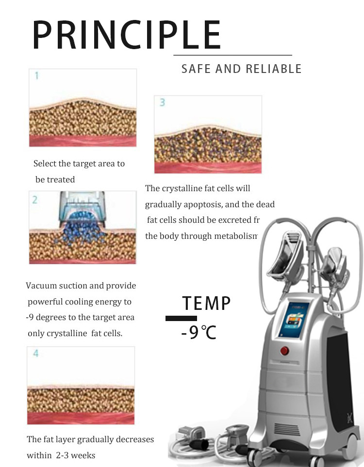 LF-202 4 handles fat reduce cryotherapy cryolipolysis slimming machine for sale