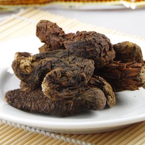 GMP factory cistanche tubulosa extract cistanche bark --ratio extract (10:1, 20