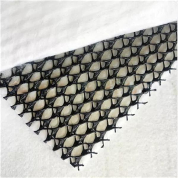 Good Water Permeability Simple Construction 3D Composite Drainage Geonet for Drainage