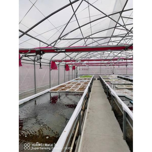 UV Proof Greenhouse Hydroponics System Vegetables Growing Deep Water Culture System