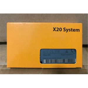 X20DS1119 X20 B&R Automation Plc Multifunction Digital Signal Processor Module