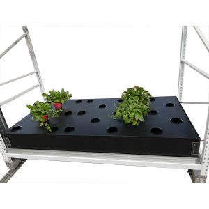 Quality 40 Site Aeroponic Hydroponic Growing Boxes Tomato Hydro Grow System for sale