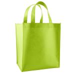 Non-Woven Shopping Bag