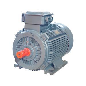 China 750W Industrial AC Motors 50HZ /60HZ 380V Induction Motor Asynchronous on sale