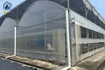 Plastic Multi Span Eco Friendly Greenhouse With Temperature Controlled Growing
