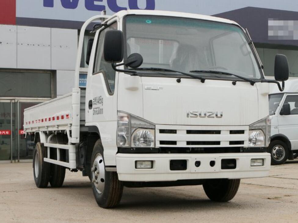 Japan new 4*2 Cargo Truck