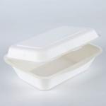Popular Biodegradable Sugarcane Clamshell Lunch Bagasse Burger Box