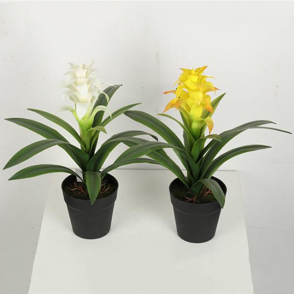 Buy Multicolour Guzmania Flexible Glue Artificial Bonsai Tree 44 CM 56 CM at wholesale prices