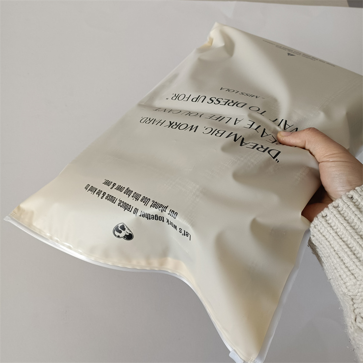 Customize Any Color Moisture Proof Polybags for Shoes and Clothing Frosted Zipper Bag