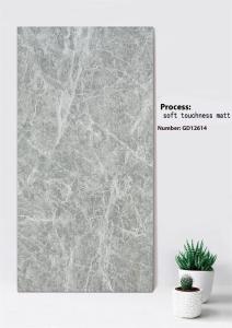 Quality Light Gray Clay Curtain Wall Tile 600x1200mm Soft Touchness Matt for sale