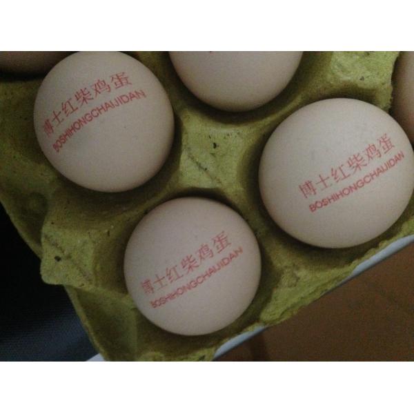 600DPI Egg Jet Printer / Food Inkjet Printer With Thermal Foam Type Nozzle