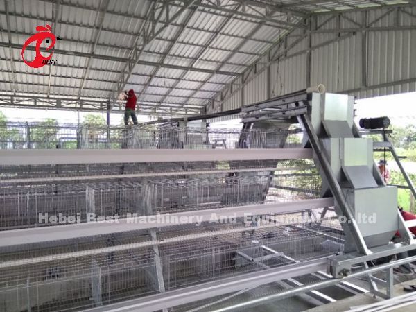A Type Layer Chicken Battery Cage Full Automatic For Large Farm Adela