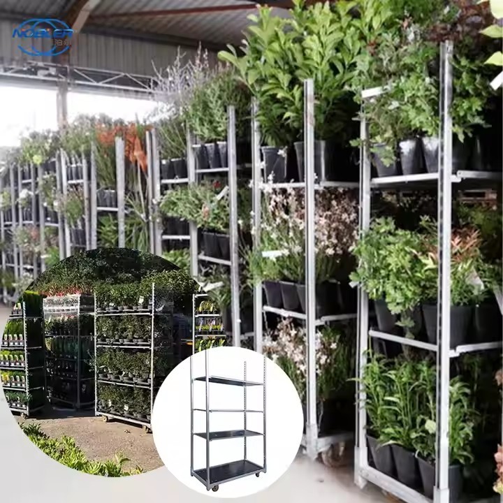 Hot Dip Galvanized Nursery Greenhouse Transport Garden Cc Danish Flower Trolleys