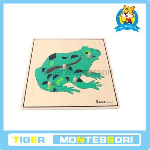 Quality Montessori wooden puzzles,Frog Puzzle for sale