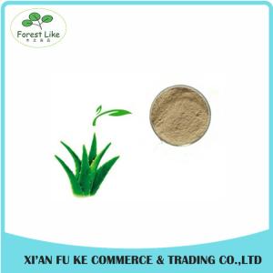 Quality Aloe Gel Freeze-dried Extract powder 100:1 for sale