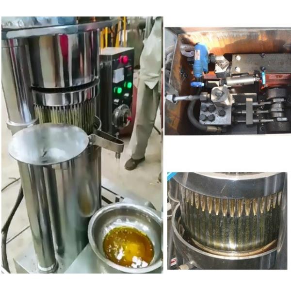 Max pressure for working Mpa 55 Automatic Avocado Oil Extraction Machine/Olive Oil Press/Shea Butter Making Machine 240 KG