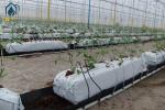 Rectangular Hydroponic Soilless Growing Trough PP Roll Drainage Gutter System