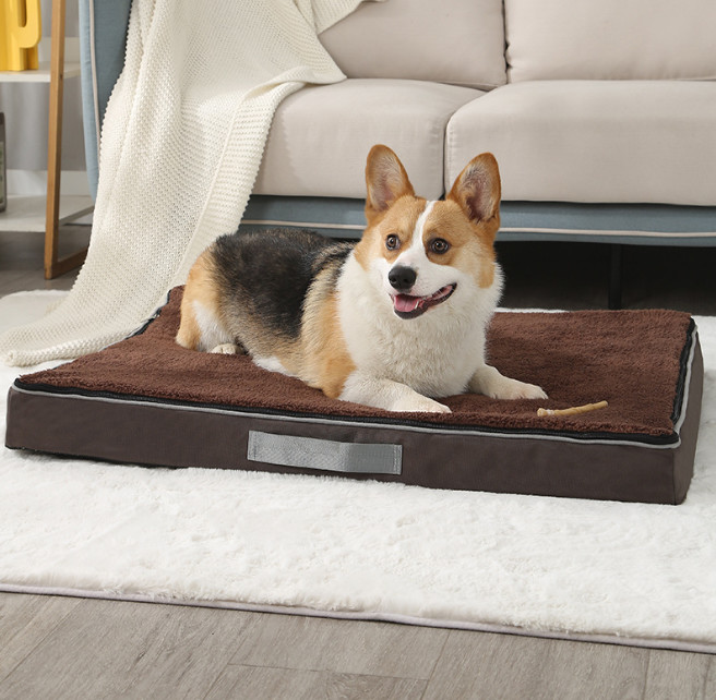 comfort pet beds