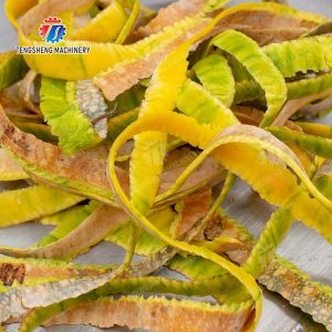 watermelon Hami Melon Vertical one knife peeling machine papaya chieh-qua