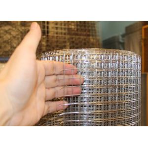 Galvanized Welded Wire Mesh With Protective Plastic Paint