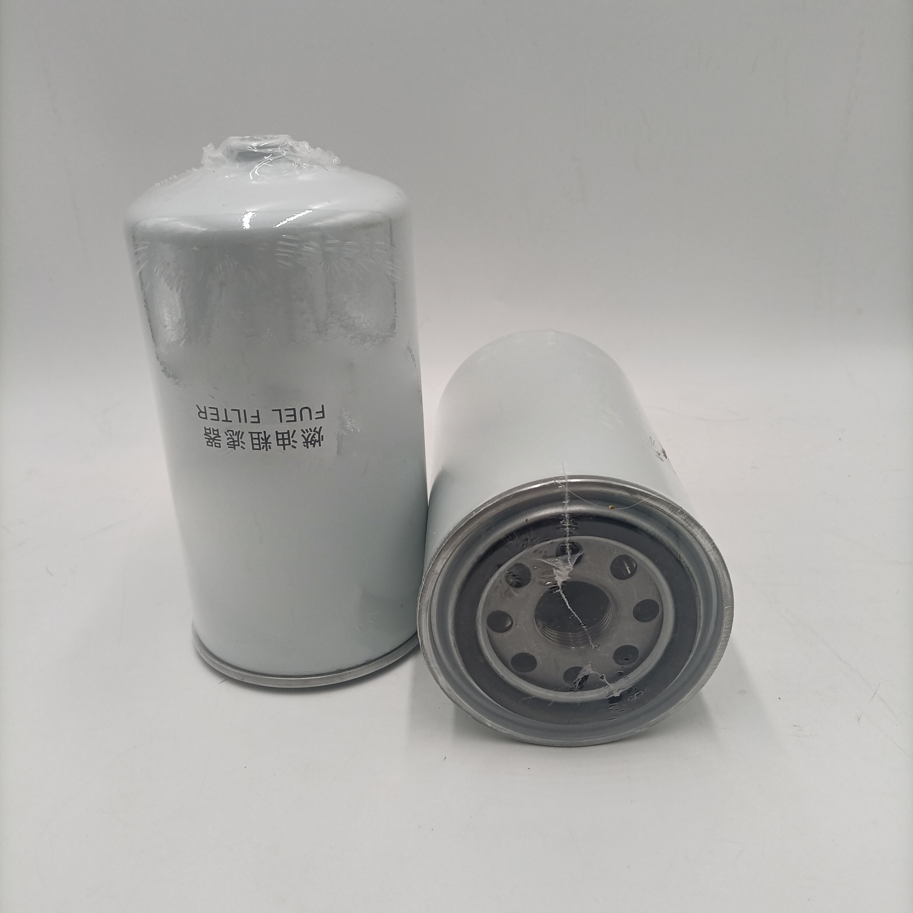 Diesel Fuel Filter 1000364299 for Other Year Cars within Your Budget