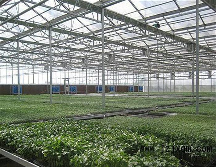 Anti Wind PC Sheet Greenhouse High Light Transmission Span Width 9.6 / 10.8 / 12m